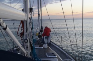 Cameron forbereder ankeret