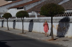 Only mad dogs, englishmen and vinni go out in the midday sun!