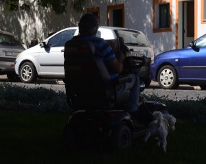 bemærk hunden der tisser mens han læser avis