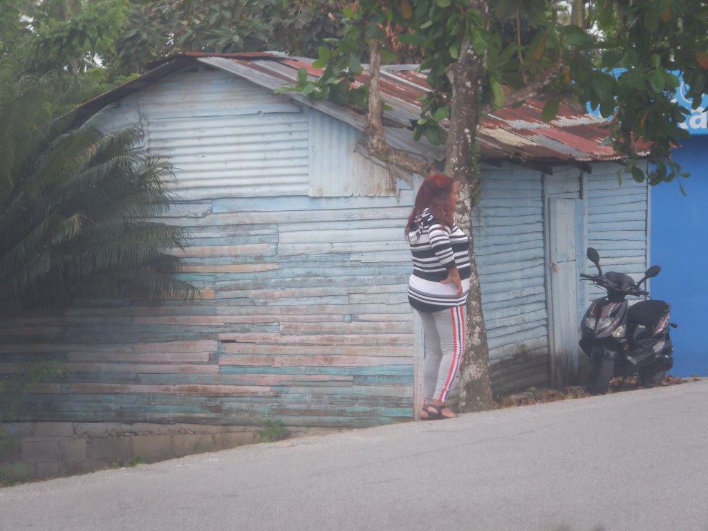 This image has an empty alt attribute; its file name is dscf2590.jpg